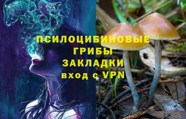 мет Медвежьегорск