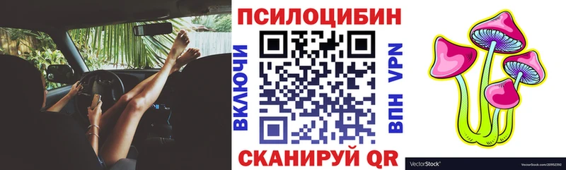 Купить закладки  Княгинино  Галлюциногенные грибы мицелий 